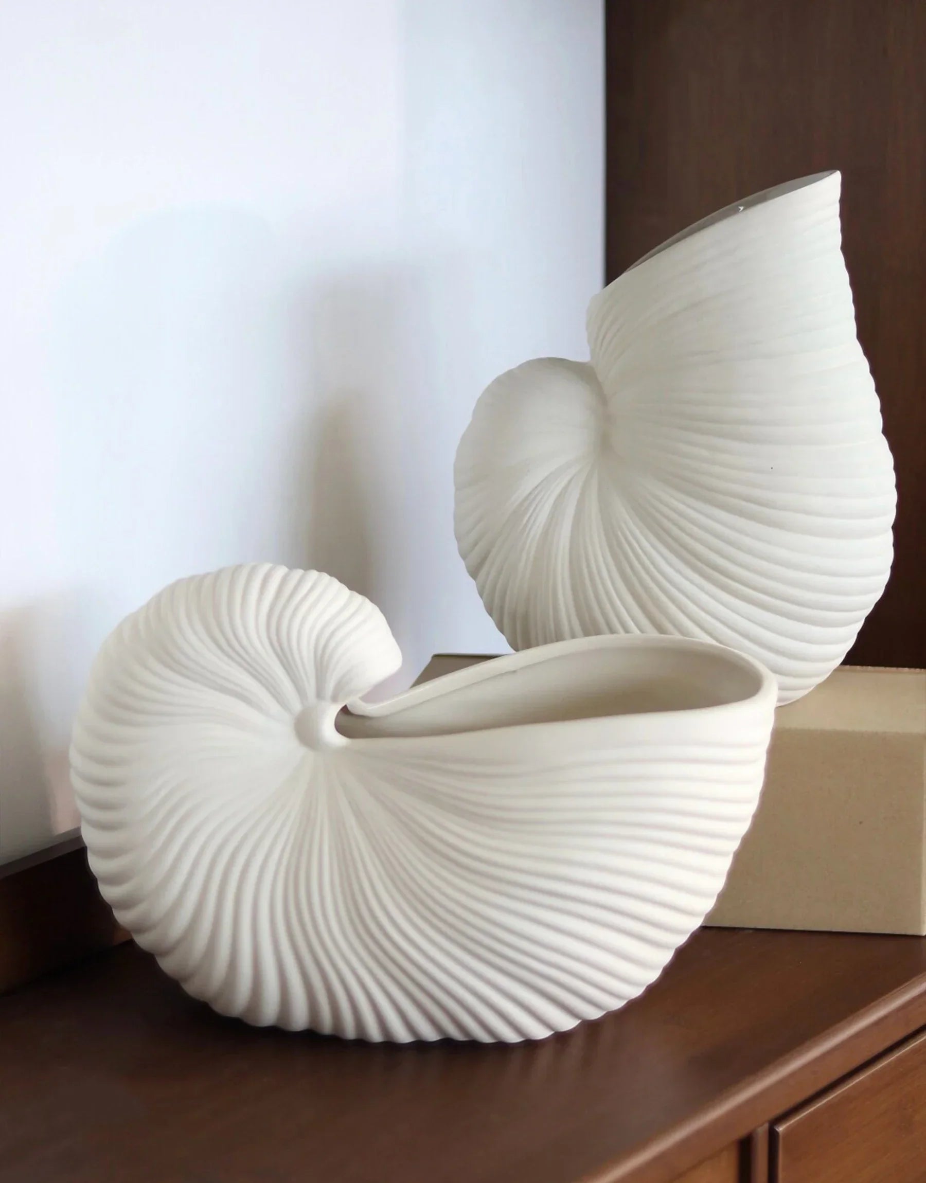 Calliope Hand-Carved Nautilus Shell Ceramic Vase