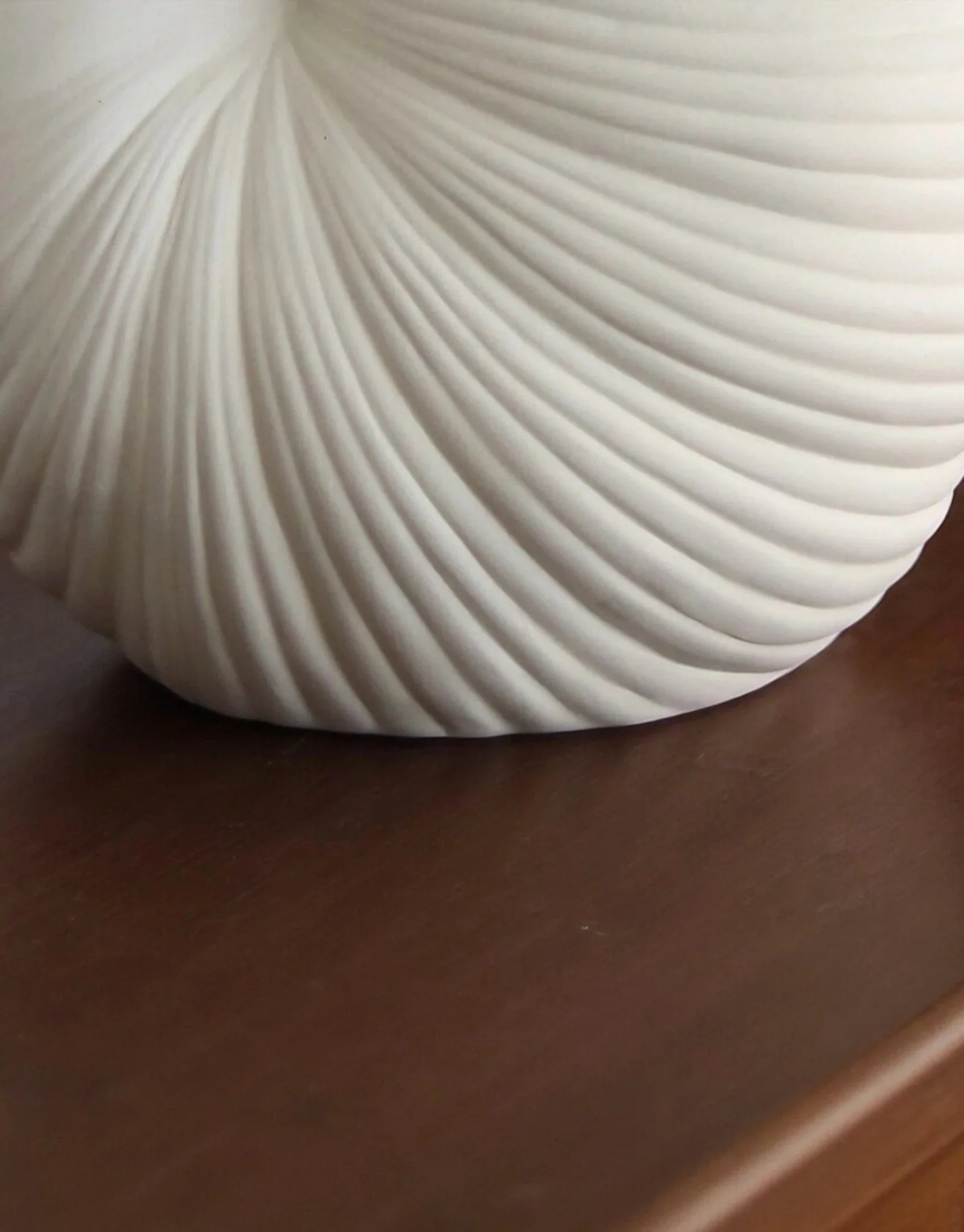 Calliope Hand-Carved Nautilus Shell Ceramic Vase